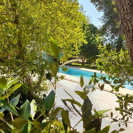 La Dimora Dei Gelsi Villa Castri di Lecce Kültér fotó