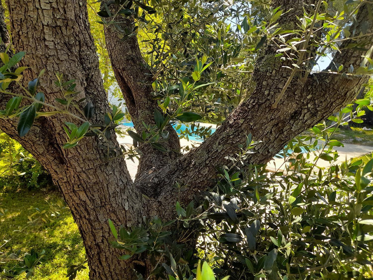 La Dimora Dei Gelsi Villa Castri di Lecce Kültér fotó